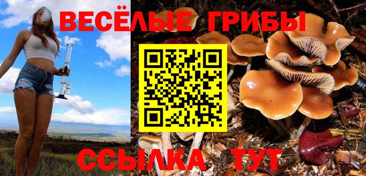 Галлюциногенные грибы мухоморы Кулебаки