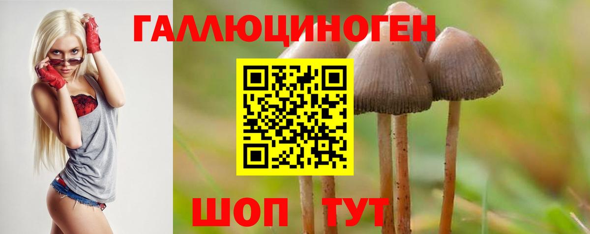 Кулебаки  Галлюциногенные грибы прущие грибы  Псилоцибиновые грибы ЛСД  Вход с VPN 